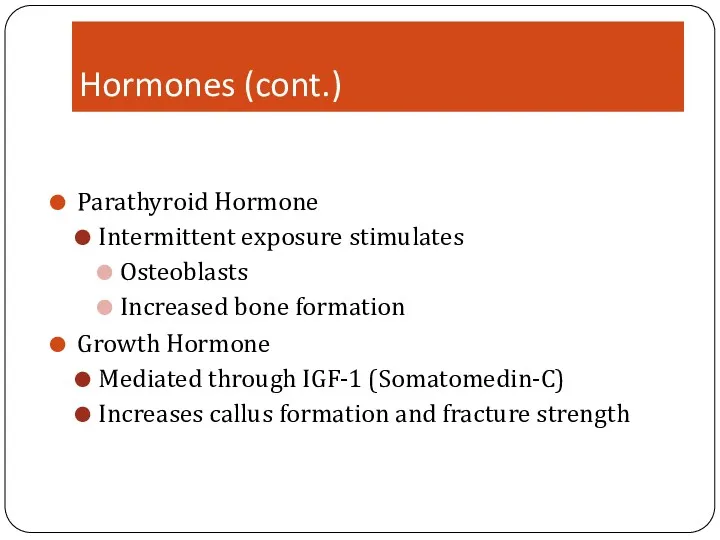 Hormones (cont.) Parathyroid Hormone Intermittent exposure stimulates Osteoblasts Increased bone formation Growth Hormone