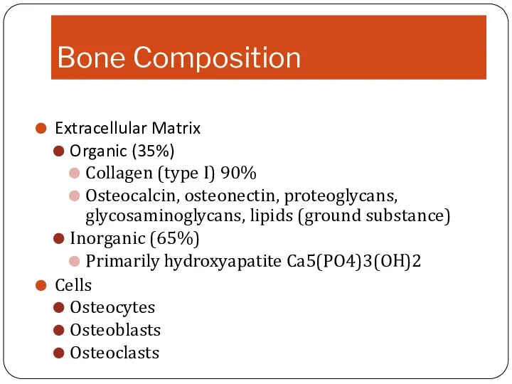 Bone Composition Extracellular Matrix Organic (35%) Collagen (type I) 90% Osteocalcin, osteonectin, proteoglycans,