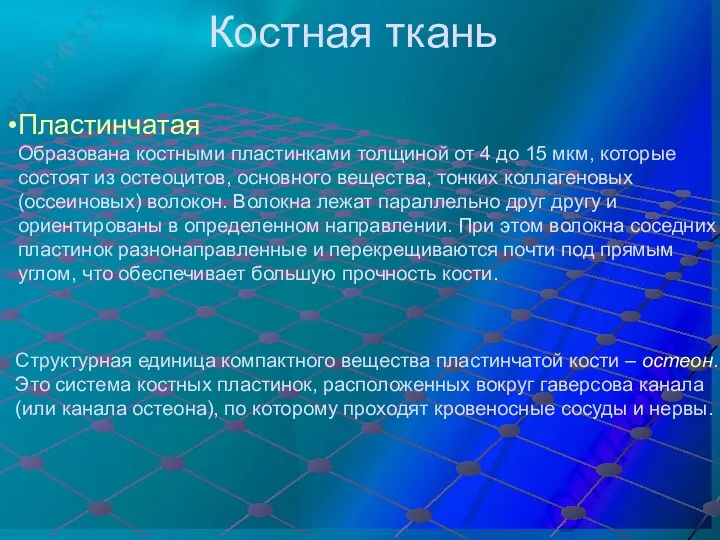 Костная ткань Пластинчатая Образована костными пластинками толщиной от 4 до