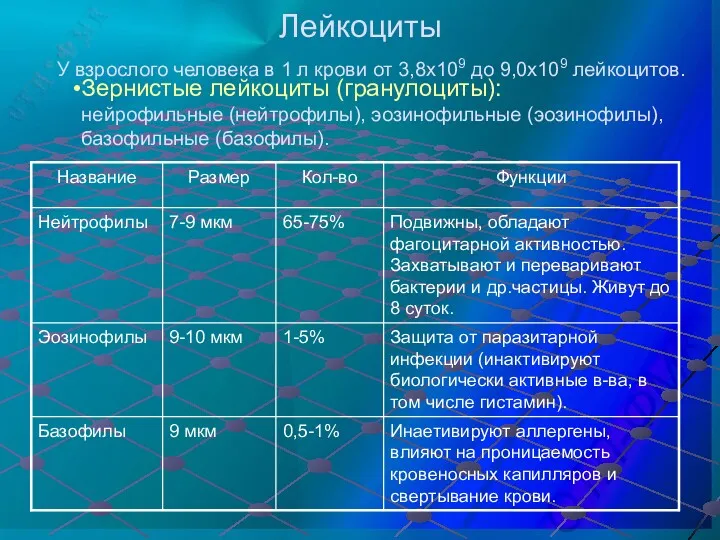 Лейкоциты У взрослого человека в 1 л крови от 3,8х109