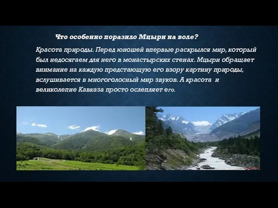 Что особенно поразило Мцыри на воле? Красота природы. Перед юношей