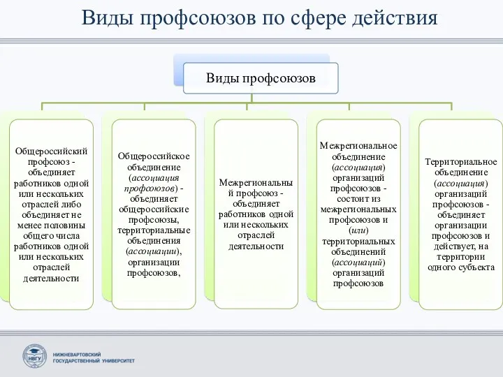 Виды профсоюзов по сфере действия