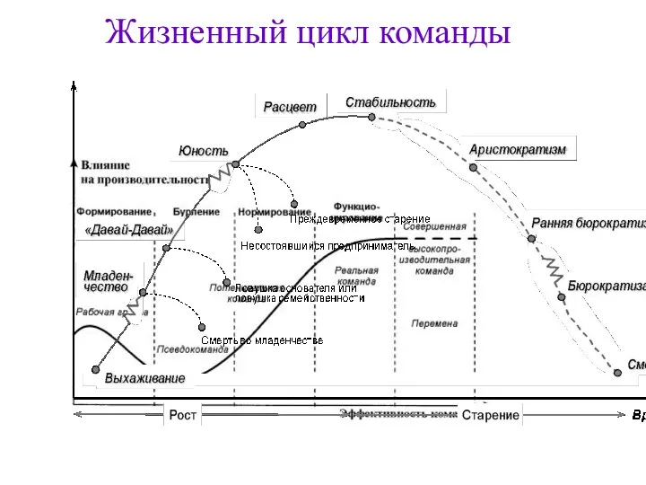 Жизненный цикл команды