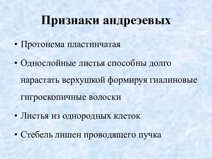 Признаки андреэевых Протонема пластинчатая Однослойные листья способны долго нарастать верхушкой формируя гиалиновые гигроскопичные