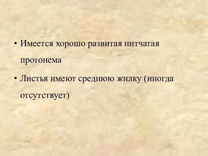 Имеется хорошо развитая нитчатая протонема Листья имеют среднюю жилку (иногда отсутствует)