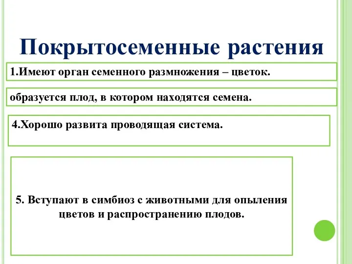 Покрытосеменные растения 4.Хорошо развита проводящая система. 1.Имеют орган семенного размножения