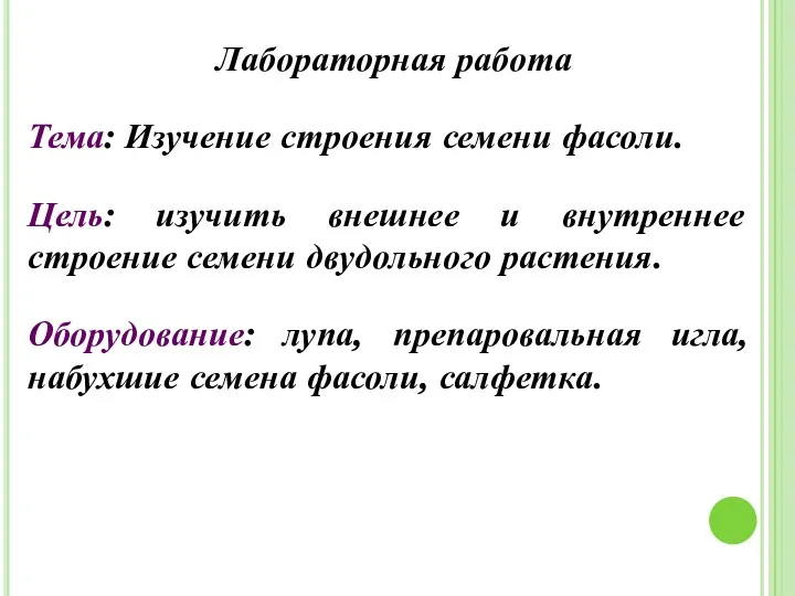 Лабораторная работа Тема: Изучение строения семени фасоли. Цель: изучить внешнее