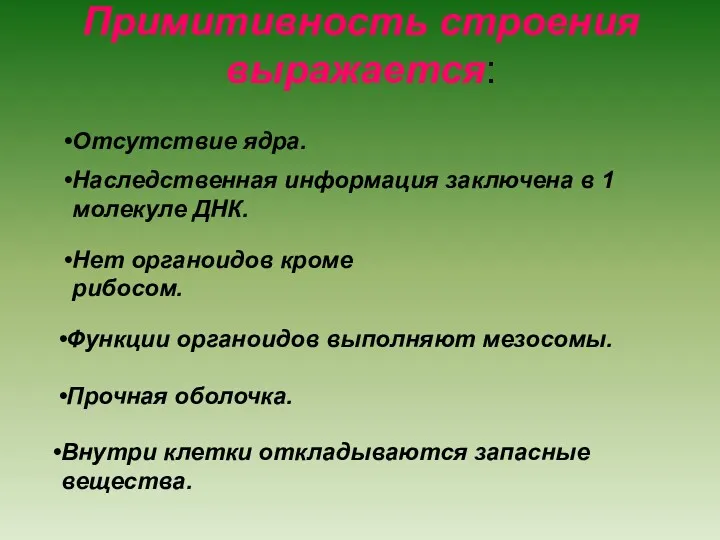 Примитивность строения выражается: Отсутствие ядра. Наследственная информация заключена в 1