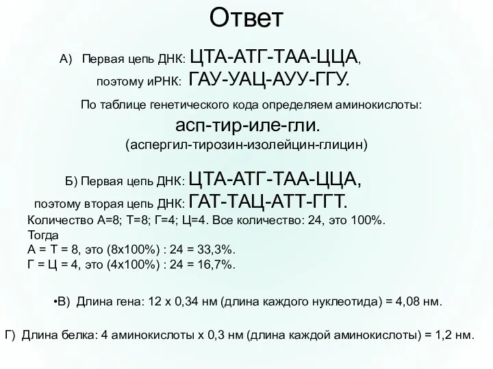 Ответ Г) Длина белка: 4 аминокислоты х 0,3 нм (длина