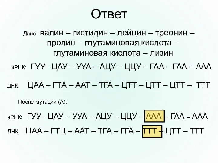 Ответ Дано: валин – гистидин – лейцин – треонин –