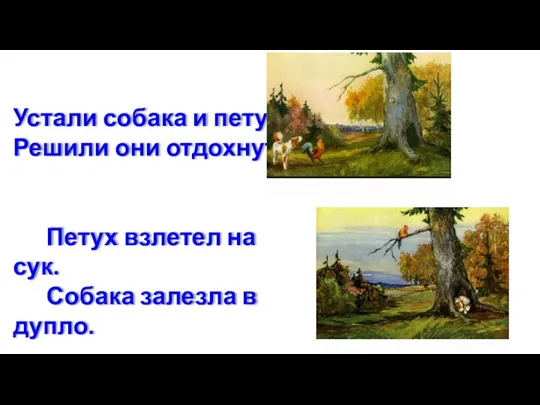 Устали собака и петух. Решили они отдохнуть. Петух взлетел на