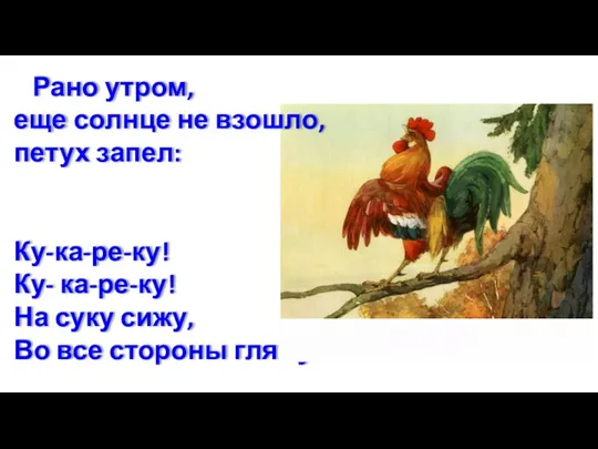 Рано утром, еще солнце не взошло, петух запел: Ку-ка-ре-ку! Ку-