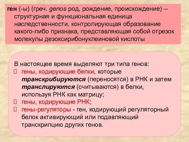 В настоящее время выделяют три типа генов: гены, кодирующие белки,