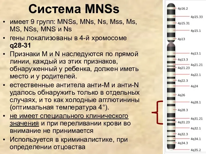 Система MNSs имеет 9 групп: MNSs, MNs, Ns, Mss, Ms,