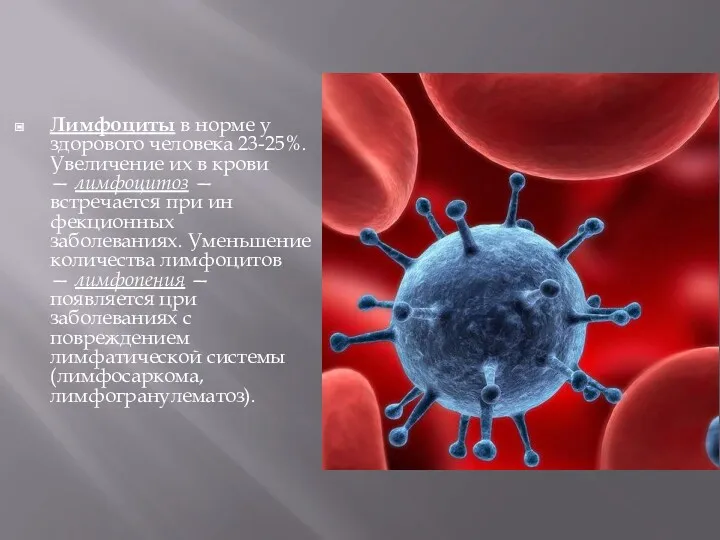 Лимфоциты в норме у здорового человека 23-25%. Уве­личение их в