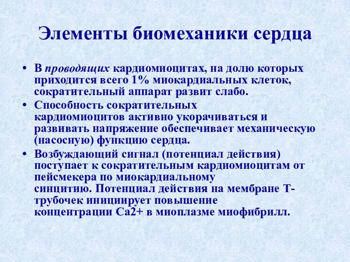 Элементы биомеханики сердца В проводящих кардиомиоцитах, на долю которых приходится