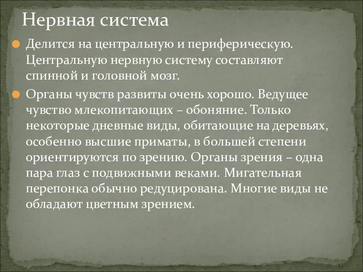 Делится на центральную и периферическую. Центральную нервную систему составляют спинной