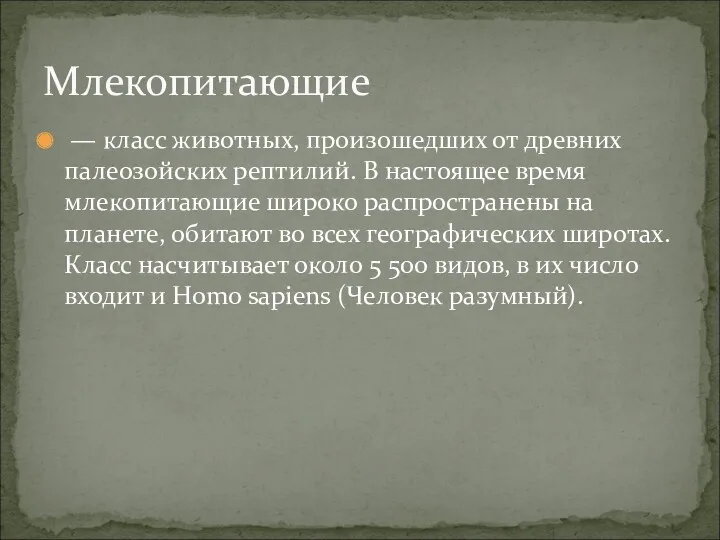 — класс животных, произошедших от древних палеозойских рептилий. В настоящее