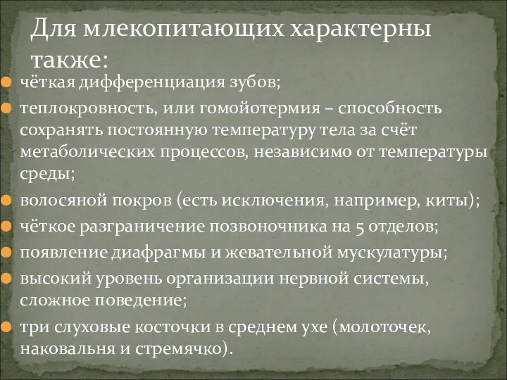 чёткая дифференциация зубов; теплокровность, или гомойотермия – способность сохранять постоянную