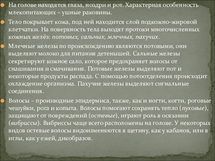 На голове находятся глаза, ноздри и рот. Характерная особенность млекопитающих