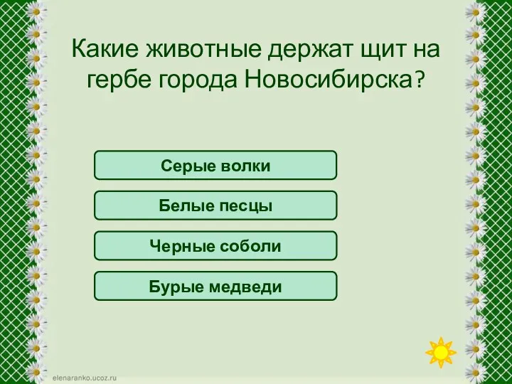 Черные соболи Какие животные держат щит на гербе города Новосибирска? Белые песцы Серые волки Бурые медведи