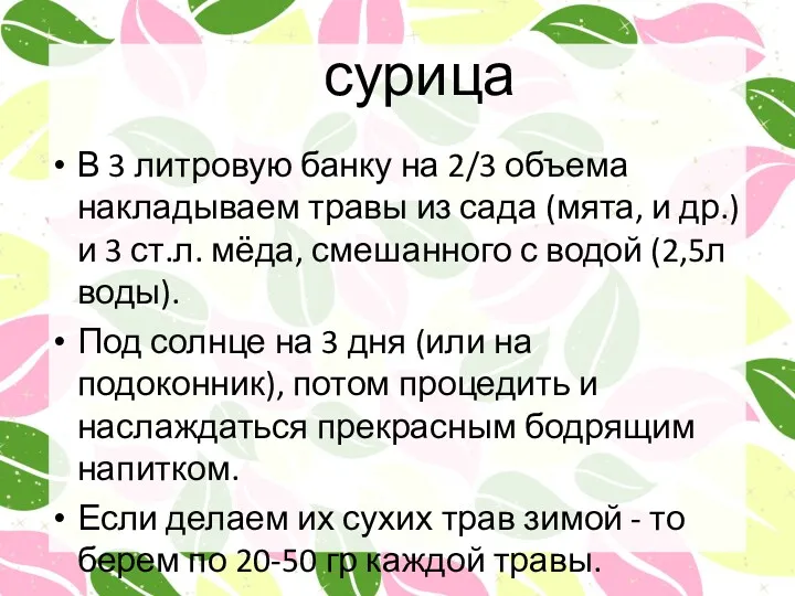 сурица В 3 литровую банку на 2/3 объема накладываем травы из сада (мята,