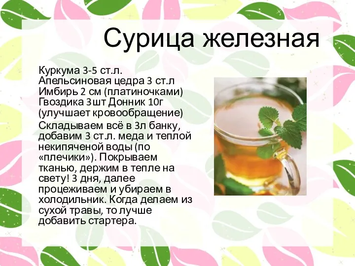 Сурица железная Куркума 3-5 ст.л. Апельсиновая цедра 3 ст.л Имбирь