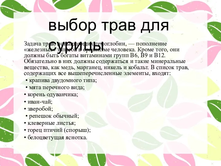 выбор трав для сурицы Задача трав, повышающих гемоглобин, — пополнение «железных» запасов в