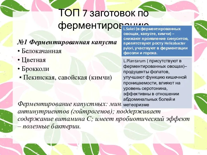 ТОП 7 заготовок по ферментированию №1 Ферментированная капуста • Белокачанная