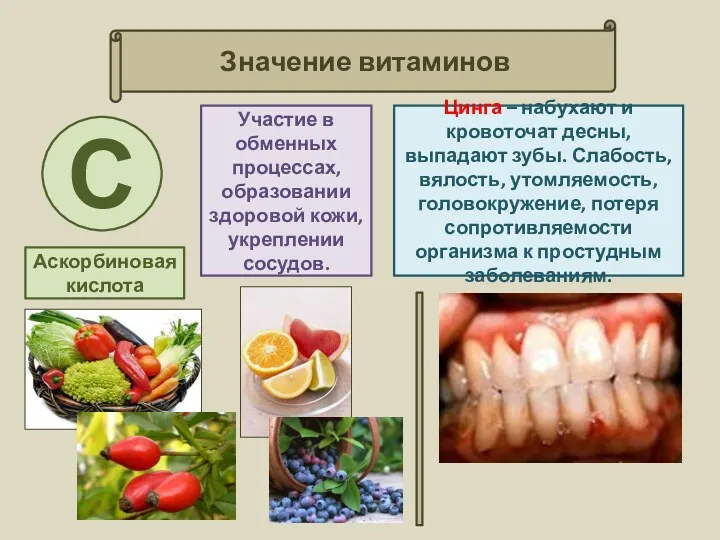 Значение витаминов Участие в обменных процессах, образовании здоровой кожи, укреплении