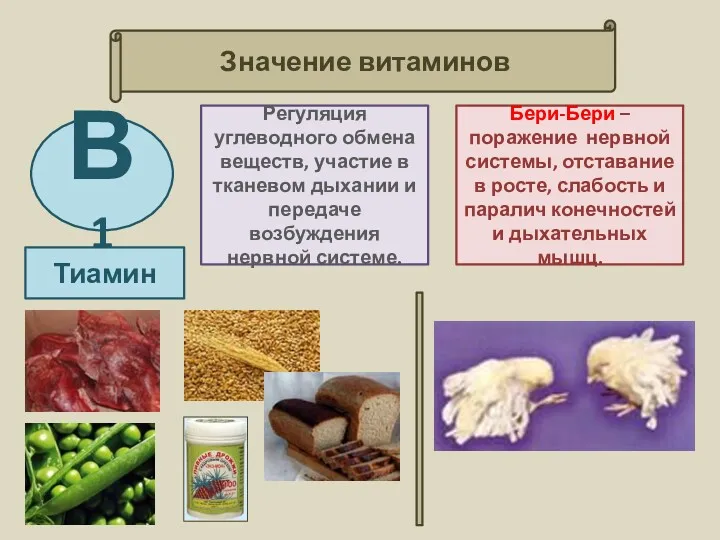 Значение витаминов Регуляция углеводного обмена веществ, участие в тканевом дыхании