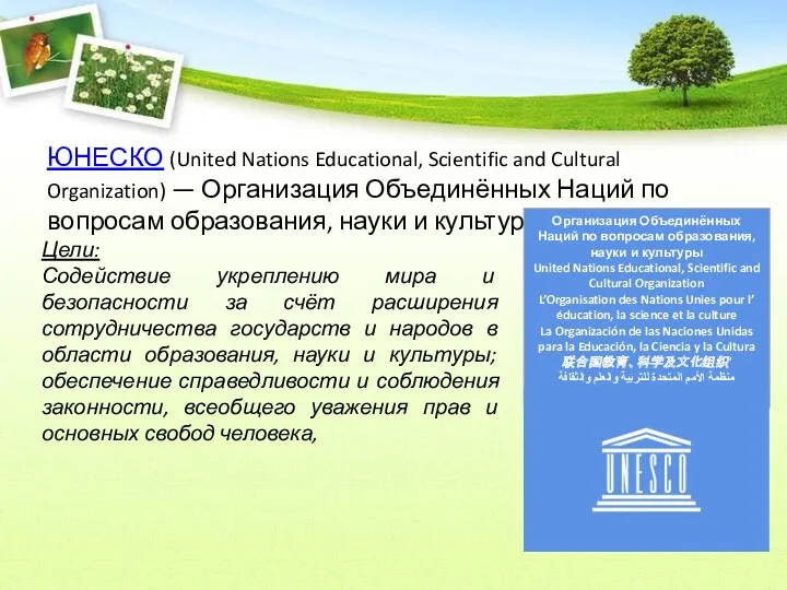 ЮНЕСКО (United Nations Educational, Scientific and Cultural Organization) — Организация