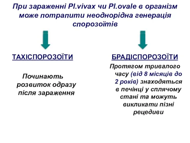 При зараженні Pl.vivax чи Pl.ovale в організм може потрапити неоднорідна