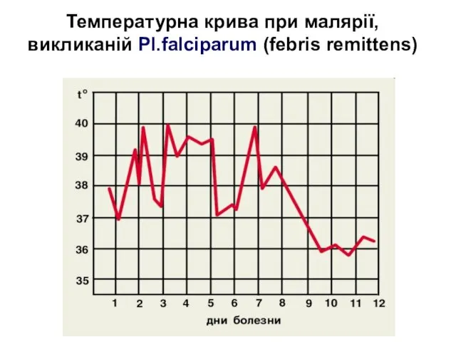 Температурна крива при малярії, викликаній Рl.falciparum (febris remittens)