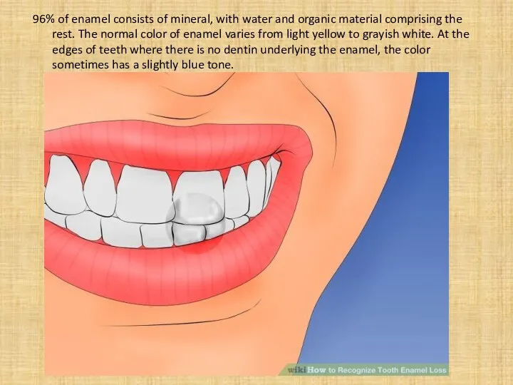 96% of enamel consists of mineral, with water and organic