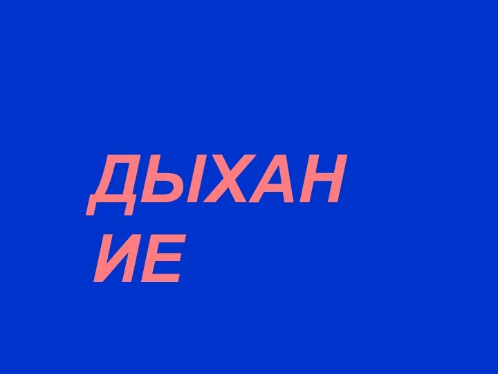 ДЫХАНИЕ