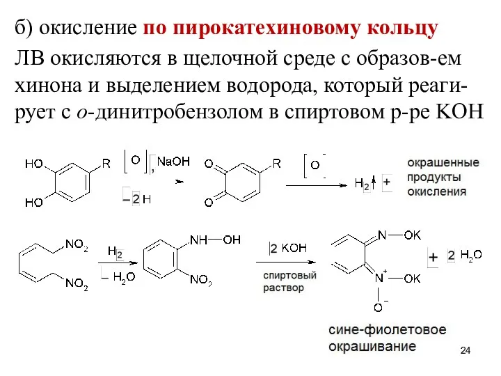 б) окисление по пирокатехиновому кольцу ЛВ окисляются в щелочной среде