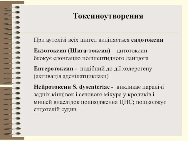 Токсиноутворення При аутолізі всіх шигел виділяється ендотоксин Екзотоксин (Шига-токсин) –