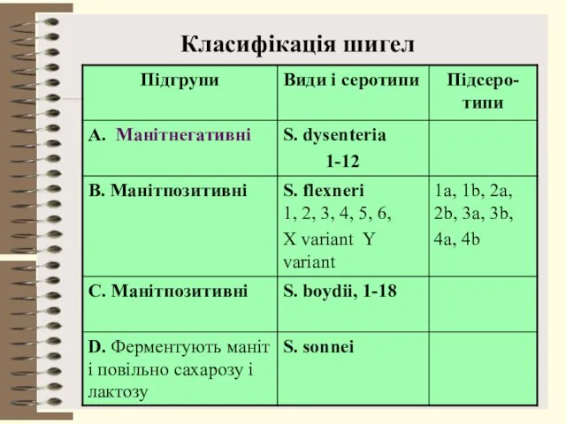 Класифікація шигел