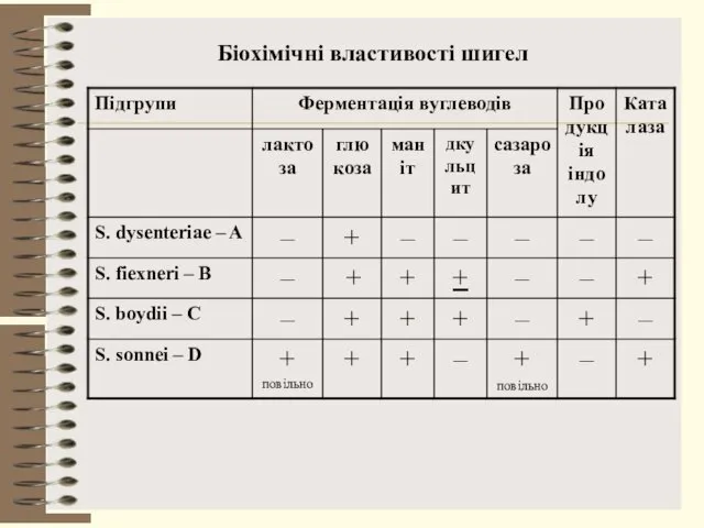 Біохімічні властивості шигел