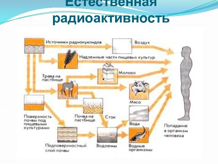 Естественная радиоактивность