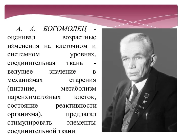 А. А. БОГОМОЛЕЦ - оценивал возрастные изменения на клеточном и