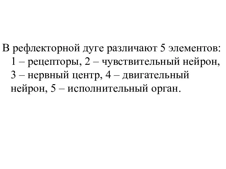 В рефлекторной дуге различают 5 элементов: 1 – рецепторы, 2