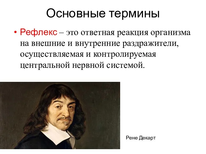 Основные термины Рефлекс – это ответная реакция организма на внешние