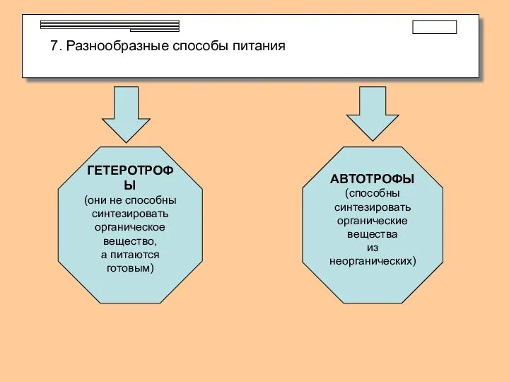 7. Разнообразные способы питания ГЕТЕРОТРОФЫ (они не способны синтезировать органическое