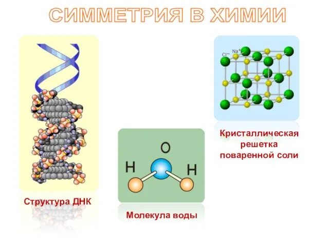 СИММЕТРИЯ В ХИМИИ Кристаллическая решетка поваренной соли Молекула воды Структура ДНК
