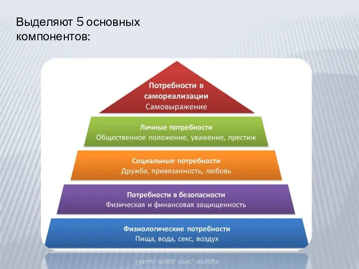 Выделяют 5 основных компонентов: