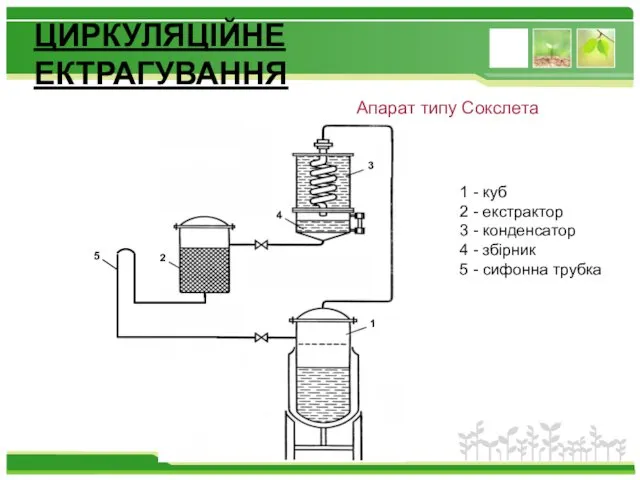 ЦИРКУЛЯЦІЙНЕ ЕКТРАГУВАННЯ Апарат типу Сокслета 1 - куб 2 -