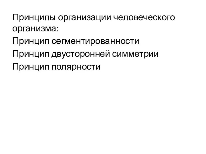 Принципы организации человеческого организма: Принцип сегментированности Принцип двусторонней симметрии Принцип полярности