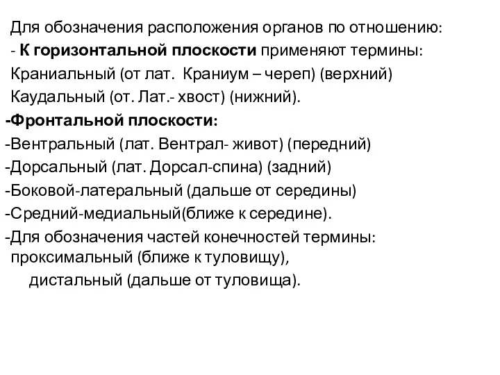 Для обозначения расположения органов по отношению: - К горизонтальной плоскости